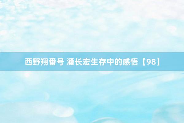 西野翔番号 潘长宏生存中的感悟【98】