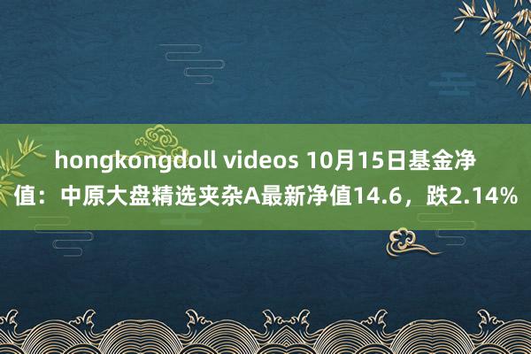 hongkongdoll videos 10月15日基金净值：中原大盘精选夹杂A最新净值14.6，跌2.14%