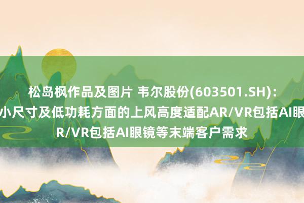 松岛枫作品及图片 韦尔股份(603501.SH)：图像传感器居品在小尺寸及低功耗方面的上风高度适配AR/VR包括AI眼镜等末端客户需求