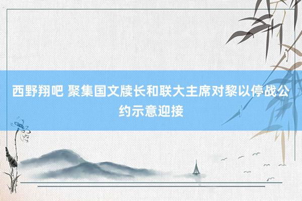 西野翔吧 聚集国文牍长和联大主席对黎以停战公约示意迎接