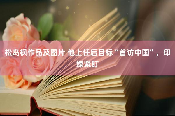 松岛枫作品及图片 他上任后目标“首访中国”，印媒紧盯