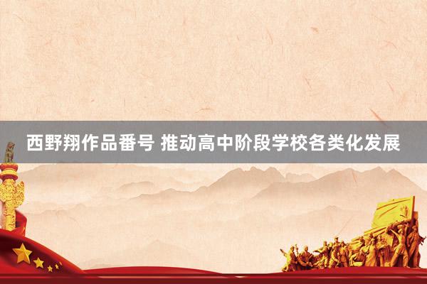 西野翔作品番号 推动高中阶段学校各类化发展