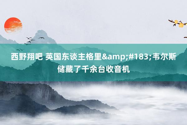 西野翔吧 英国东谈主格里&#183;韦尔斯储藏了千余台收音机
