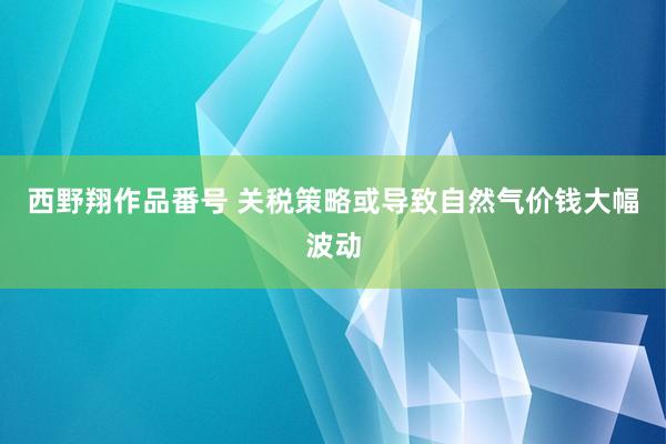 西野翔作品番号 关税策略或导致自然气价钱大幅波动