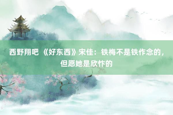 西野翔吧 《好东西》宋佳：铁梅不是铁作念的，但愿她是欣忭的