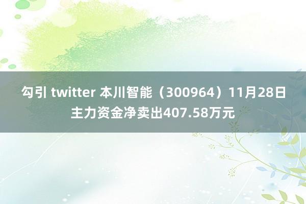 勾引 twitter 本川智能（300964）11月28日主力资金净卖出407.58万元