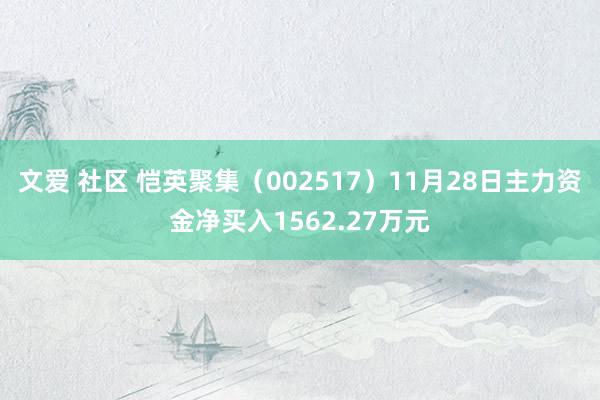 文爱 社区 恺英聚集（002517）11月28日主力资金净买入1562.27万元
