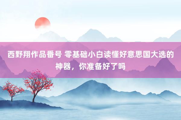 西野翔作品番号 零基础小白读懂好意思国大选的神器，你准备好了吗
