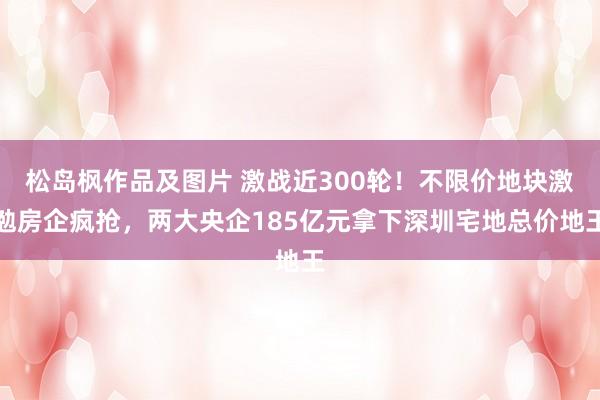 松岛枫作品及图片 激战近300轮！不限价地块激勉房企疯抢，两大央企185亿元拿下深圳宅地总价地王
