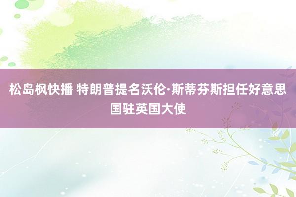 松岛枫快播 特朗普提名沃伦·斯蒂芬斯担任好意思国驻英国大使