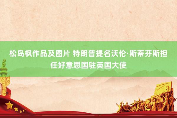 松岛枫作品及图片 特朗普提名沃伦·斯蒂芬斯担任好意思国驻英国大使