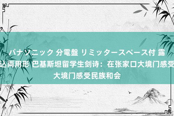 パナソニック 分電盤 リミッタースペース付 露出・半埋込両用形 巴基斯坦留学生剑诗：在张家口大境门感受民族和会
