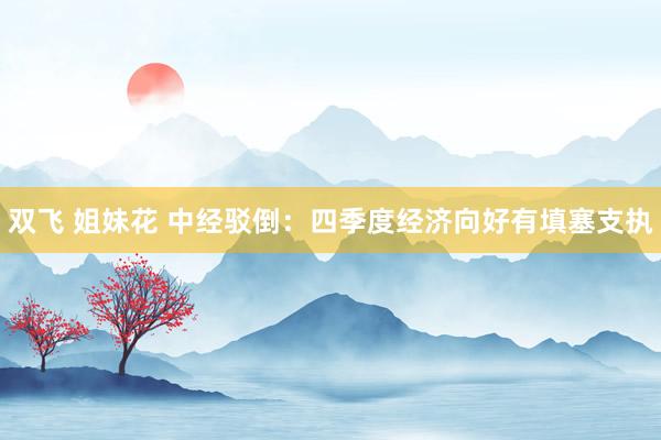 双飞 姐妹花 中经驳倒：四季度经济向好有填塞支执