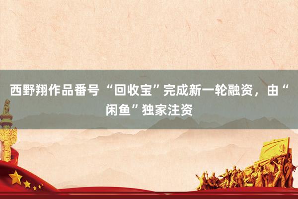 西野翔作品番号 “回收宝”完成新一轮融资，由“闲鱼”独家注资