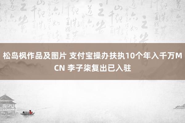 松岛枫作品及图片 支付宝操办扶执10个年入千万MCN 李子柒复出已入驻