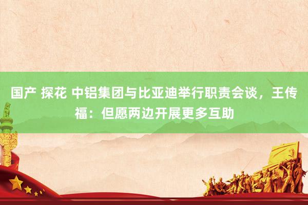 国产 探花 中铝集团与比亚迪举行职责会谈，王传福：但愿两边开展更多互助