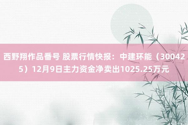 西野翔作品番号 股票行情快报：中建环能（300425）12月9日主力资金净卖出1025.25万元