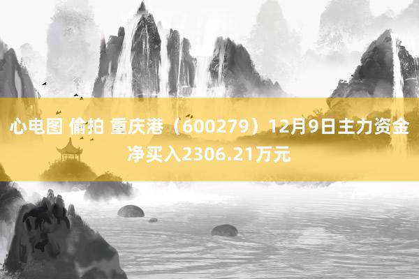 心电图 偷拍 重庆港（600279）12月9日主力资金净买入2306.21万元