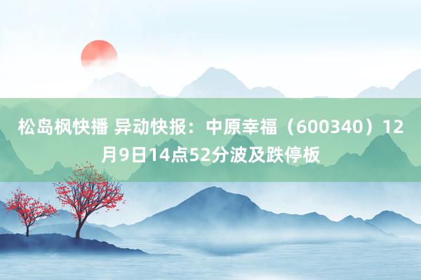 松岛枫快播 异动快报：中原幸福（600340）12月9日14点52分波及跌停板