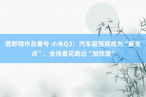 西野翔作品番号 小米Q3：汽车超预期成为“新支点”，全线着花跑出“加快度”