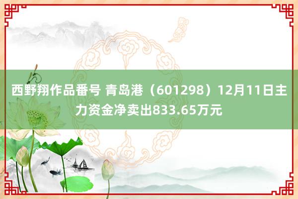 西野翔作品番号 青岛港（601298）12月11日主力资金净卖出833.65万元