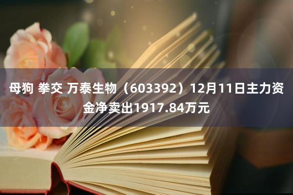 母狗 拳交 万泰生物（603392）12月11日主力资金净卖出1917.84万元