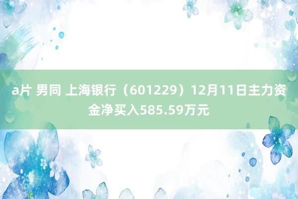 a片 男同 上海银行（601229）12月11日主力资金净买入585.59万元