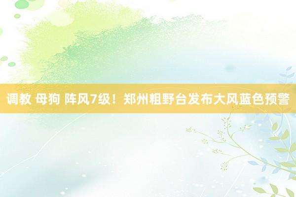 调教 母狗 阵风7级！郑州粗野台发布大风蓝色预警