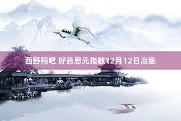西野翔吧 好意思元指数12月12日高涨