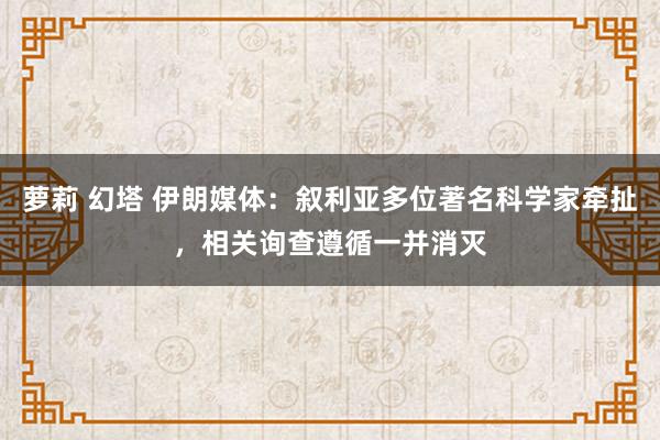 萝莉 幻塔 伊朗媒体：叙利亚多位著名科学家牵扯，相关询查遵循一并消灭