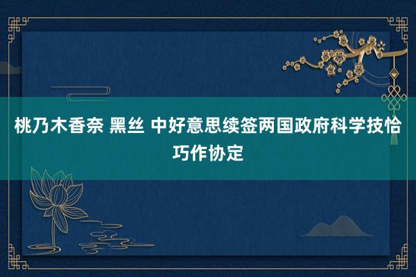 桃乃木香奈 黑丝 中好意思续签两国政府科学技恰巧作协定