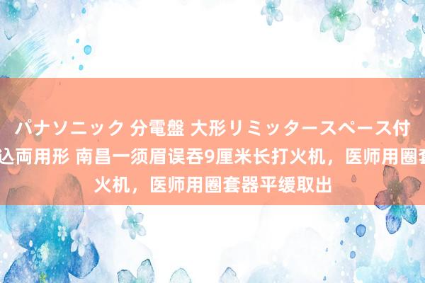 パナソニック 分電盤 大形リミッタースペース付 露出・半埋込両用形 南昌一须眉误吞9厘米长打火机，医师用圈套器平缓取出