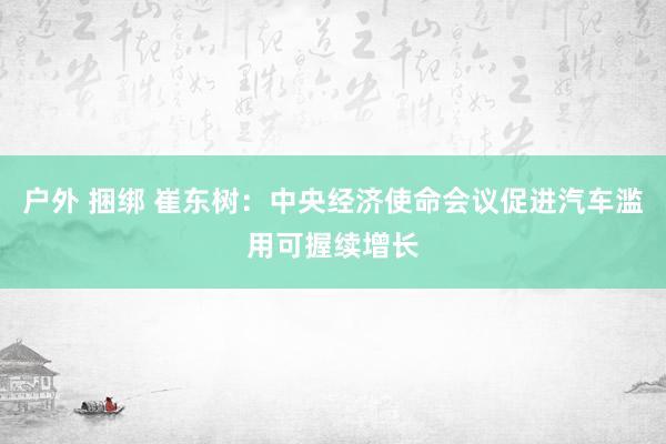 户外 捆绑 崔东树：中央经济使命会议促进汽车滥用可握续增长