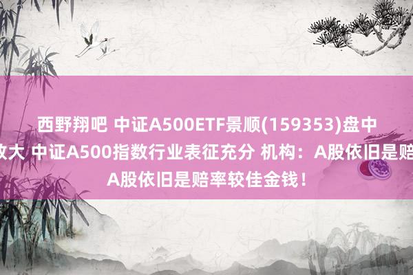 西野翔吧 中证A500ETF景顺(159353)盘中成交额快速放大 中证A500指数行业表征充分 机构：A股依旧是赔率较佳金钱！