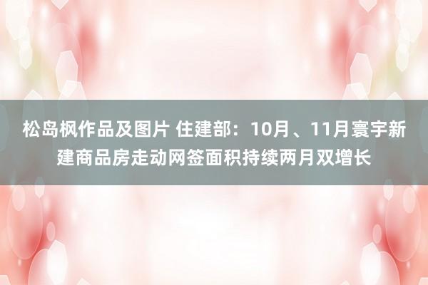 松岛枫作品及图片 住建部：10月、11月寰宇新建商品房走动网签面积持续两月双增长