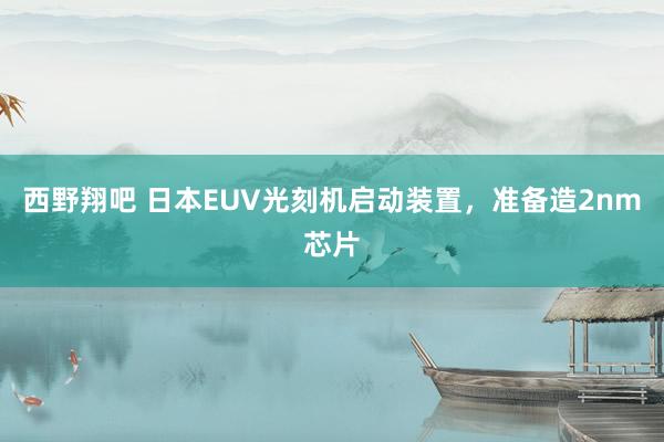 西野翔吧 日本EUV光刻机启动装置，准备造2nm芯片