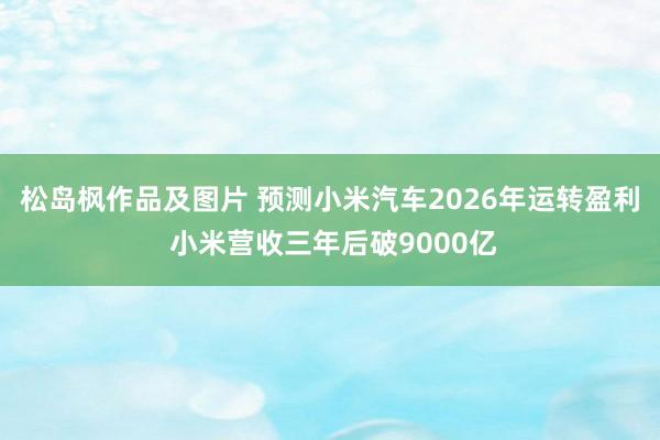 松岛枫作品及图片 预测小米汽车2026年运转盈利 小米营收三年后破9000亿