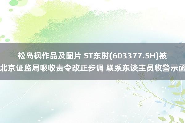 松岛枫作品及图片 ST东时(603377.SH)被北京证监局吸收责令改正步调 联系东谈主员收警示函