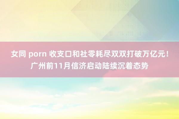 女同 porn 收支口和社零耗尽双双打破万亿元！广州前11月信济启动陆续沉着态势