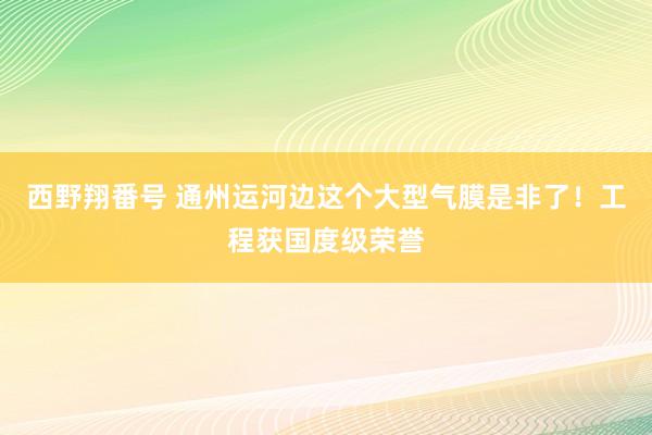 西野翔番号 通州运河边这个大型气膜是非了！工程获国度级荣誉