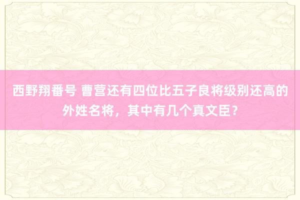 西野翔番号 曹营还有四位比五子良将级别还高的外姓名将，其中有几个真文臣？