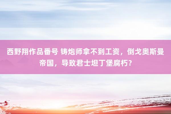西野翔作品番号 铸炮师拿不到工资，倒戈奥斯曼帝国，导致君士坦丁堡腐朽？