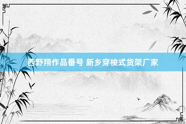 西野翔作品番号 新乡穿梭式货架厂家