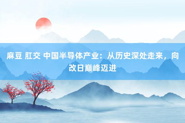 麻豆 肛交 中国半导体产业：从历史深处走来，向改日巅峰迈进