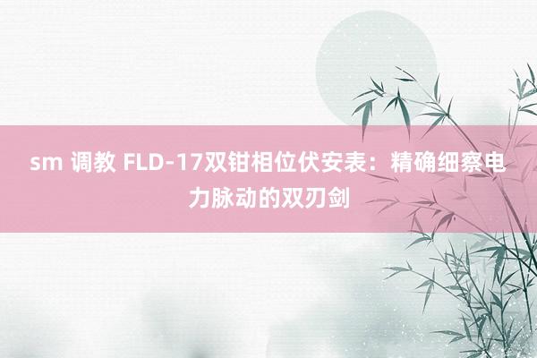 sm 调教 FLD-17双钳相位伏安表：精确细察电力脉动的双刃剑