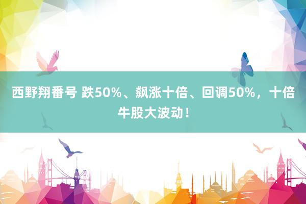 西野翔番号 跌50%、飙涨十倍、回调50%，十倍牛股大波动！