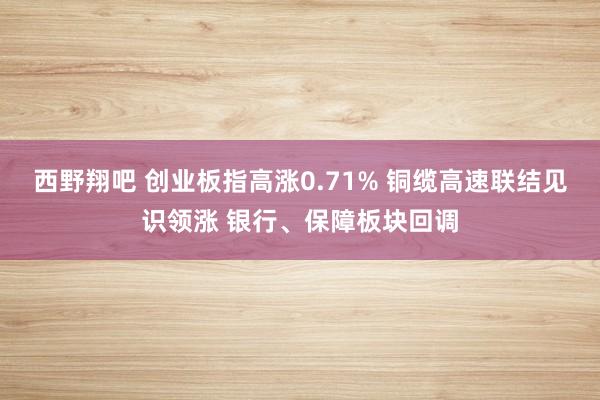 西野翔吧 创业板指高涨0.71% 铜缆高速联结见识领涨 银行、保障板块回调