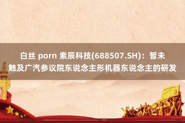 白丝 porn 索辰科技(688507.SH)：暂未触及广汽参议院东说念主形机器东说念主的研发