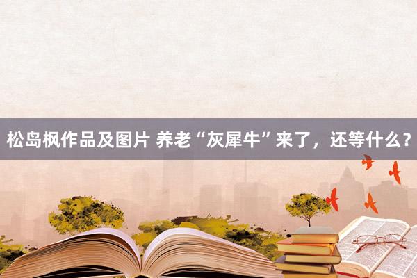 松岛枫作品及图片 养老“灰犀牛”来了，还等什么？
