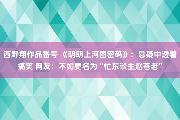 西野翔作品番号 《明朗上河图密码》：悬疑中透着搞笑 网友：不如更名为“忙东谈主赵苍老”